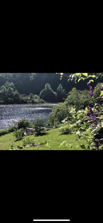 Glamping On Idyllic Lake, Paddle Boards & Rowboat Porsgrunn Dış mekan fotoğraf