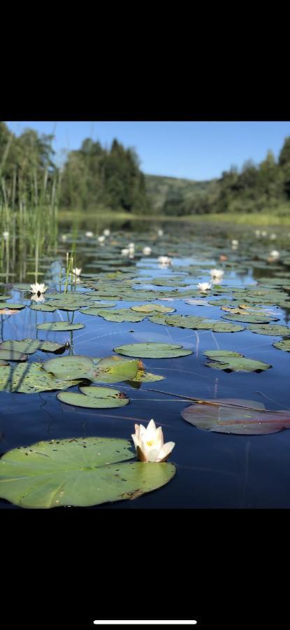 Glamping On Idyllic Lake, Paddle Boards & Rowboat Porsgrunn Dış mekan fotoğraf