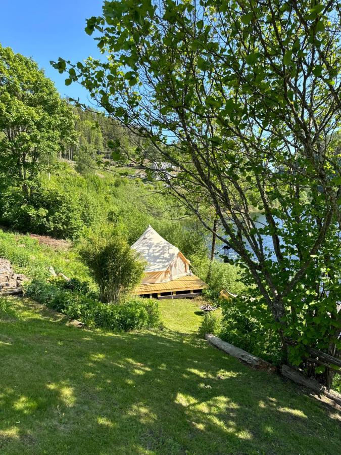 Glamping On Idyllic Lake, Paddle Boards & Rowboat Porsgrunn Dış mekan fotoğraf